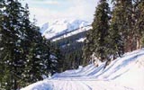  Jedna z četných dobře udržovaných lyžařských stop 